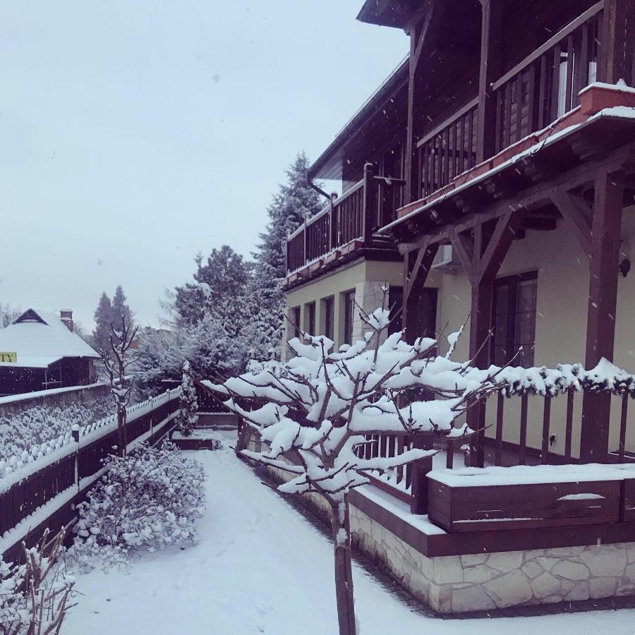 Apartamenty Tuznikowie 卡齐米日-多尔尼 外观 照片